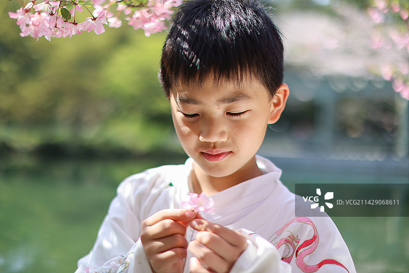 穿着汉服的小男孩站在公园海棠花树下图片素材