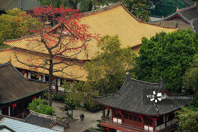 光孝寺图片素材