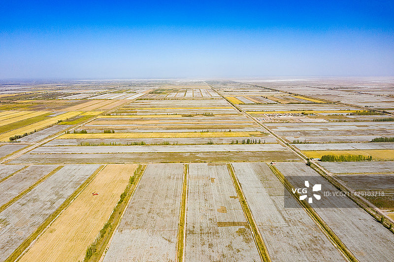 航拍新疆阿克苏阿瓦提县金银川镇图片素材