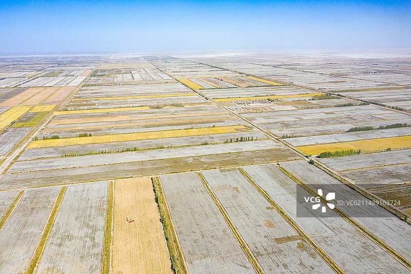 航拍新疆阿克苏阿瓦提县金银川镇图片素材