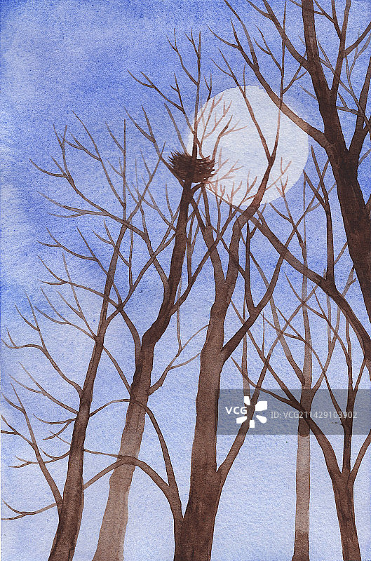 树上的鸟窝有枝可依图片素材