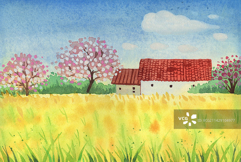 油菜花田的小屋图片素材