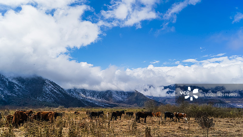 彝景风情（孟获城+彝海）图片素材