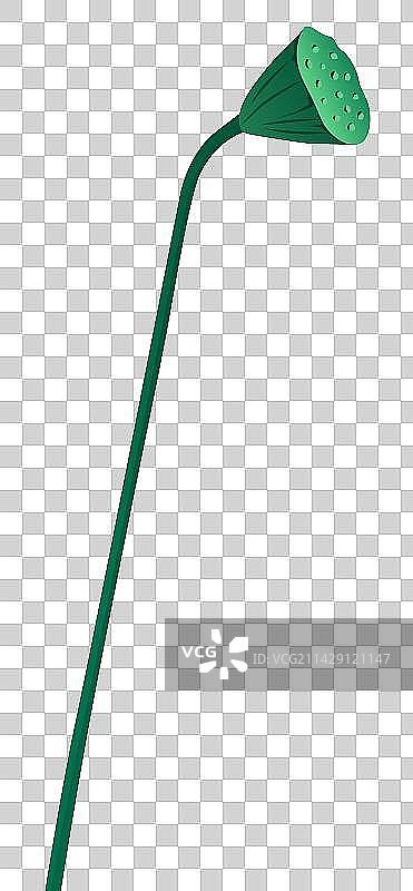 春天夏天季节荷花莲花二十四节气夏至海报插画矢量图片素材