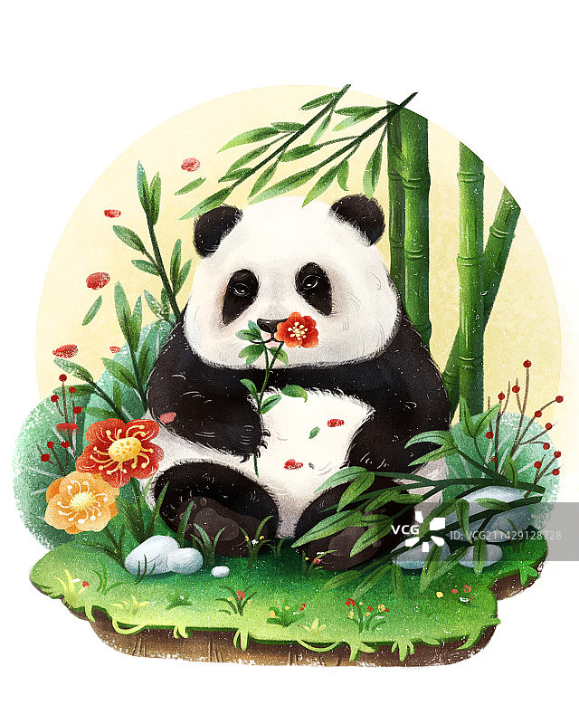顶流明星熊猫花花图片素材
