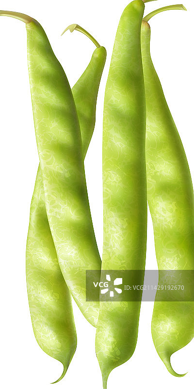 逼真的豌豆荚组合图片素材