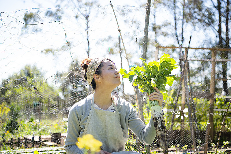 一名妇女闻着从田里收获的萝卜的香味图片素材