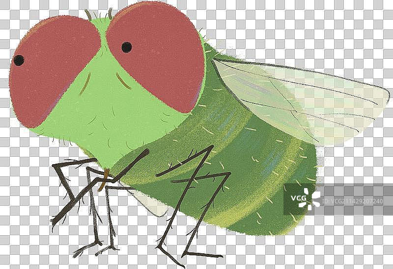 肮脏的苍蝇小昆虫元素图片素材