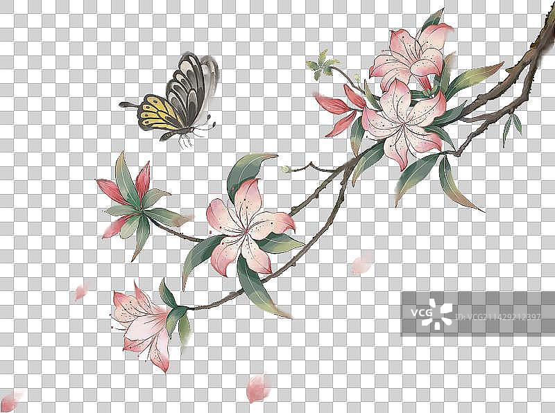 节气花卉之杜鹃花中国风插画图片素材