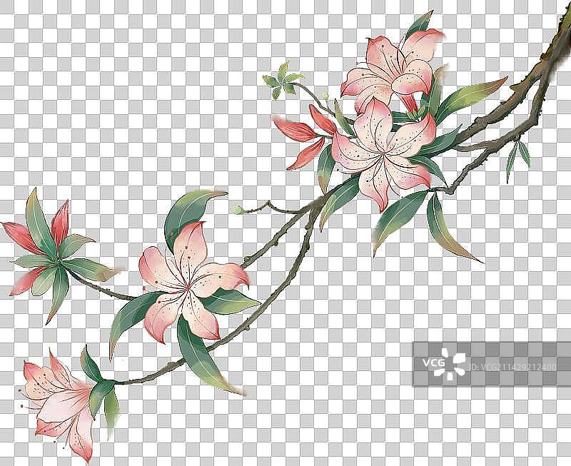 节气花卉之杜鹃花中国风插画图片素材