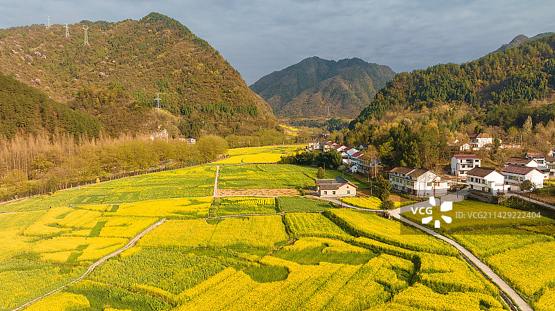 汉阴县山谷里的油菜花田图片素材