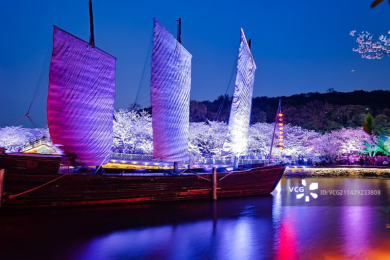 鼋头渚樱花夜图片素材