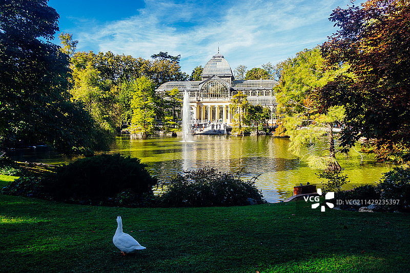 马德里丽池公园里的树木和植物图片素材