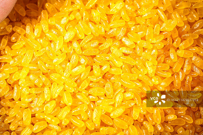 东北黄金米纹理图片素材