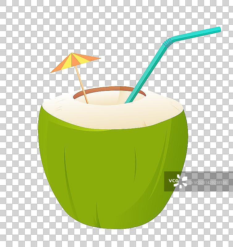 海南三亚椰子植物插画图片素材