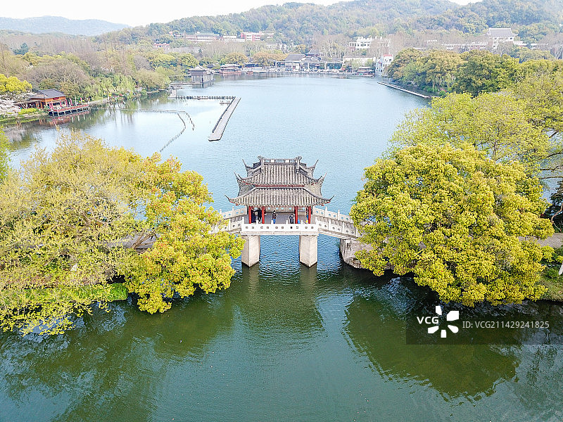 杭州西湖曲院风荷印象西湖 玉带桥图片素材