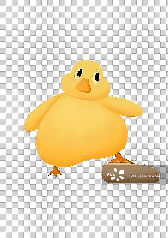小鸭子素材图片素材
