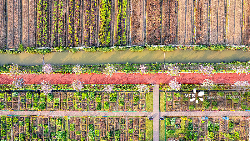 彩色的田野图片素材