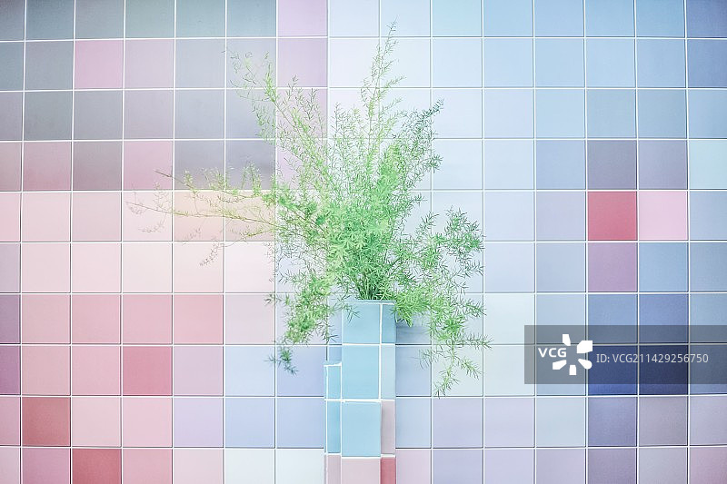 小清新-花花图片素材