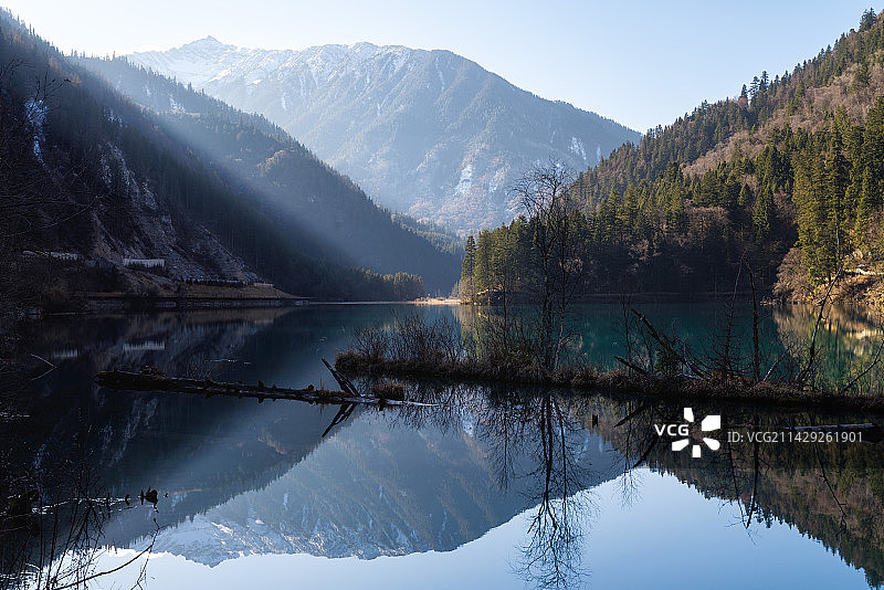 九寨沟白雪皑皑的群山映衬下的箭竹海图片素材