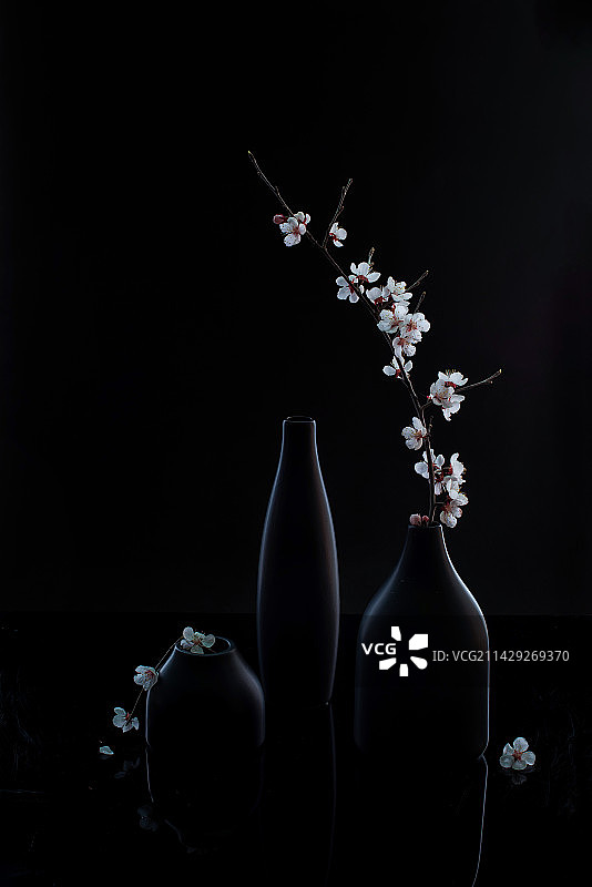 瓶中杏花图片素材