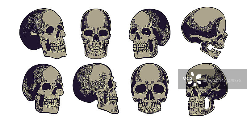 手绘骷髅头元素图片素材