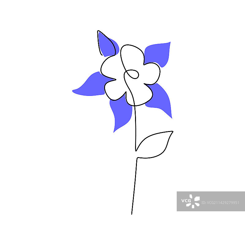 耧斗菜春天单线一笔画图片素材