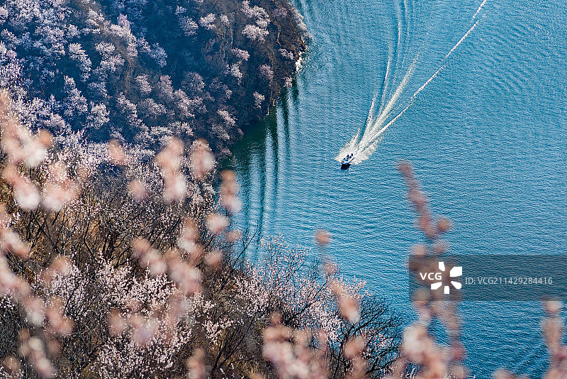 春天北京怀柔水长城景区花海小西湖观光汽艇图片素材