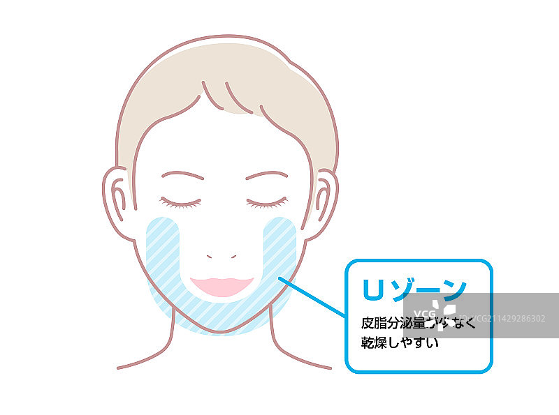 女性面部U区图片素材
