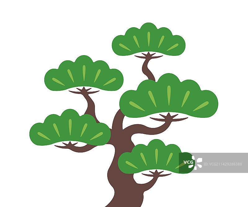 日式传统松树表现图片素材