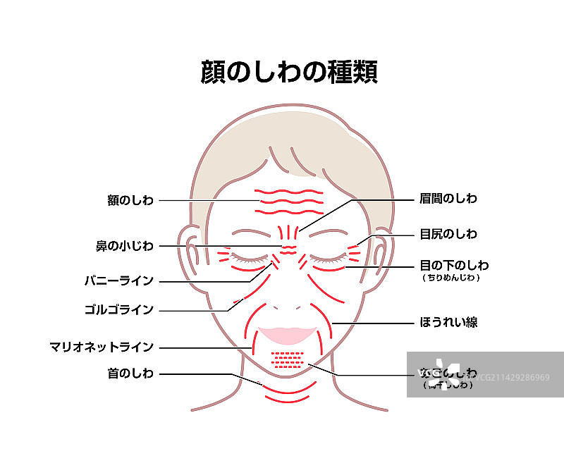 有面部皱纹的日本女性面部特写图片素材