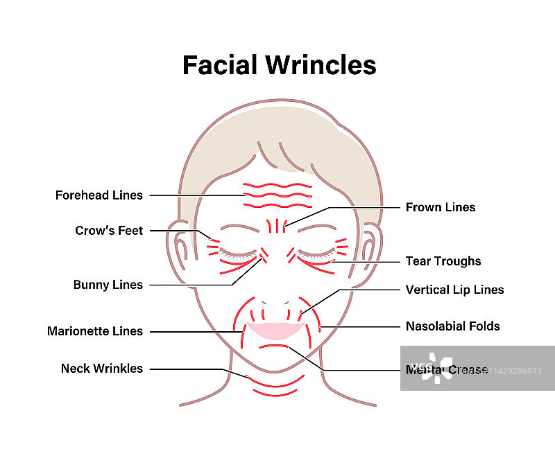 女性面部皱纹图片素材