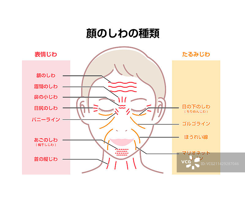 女性的皱纹和衰老图片素材