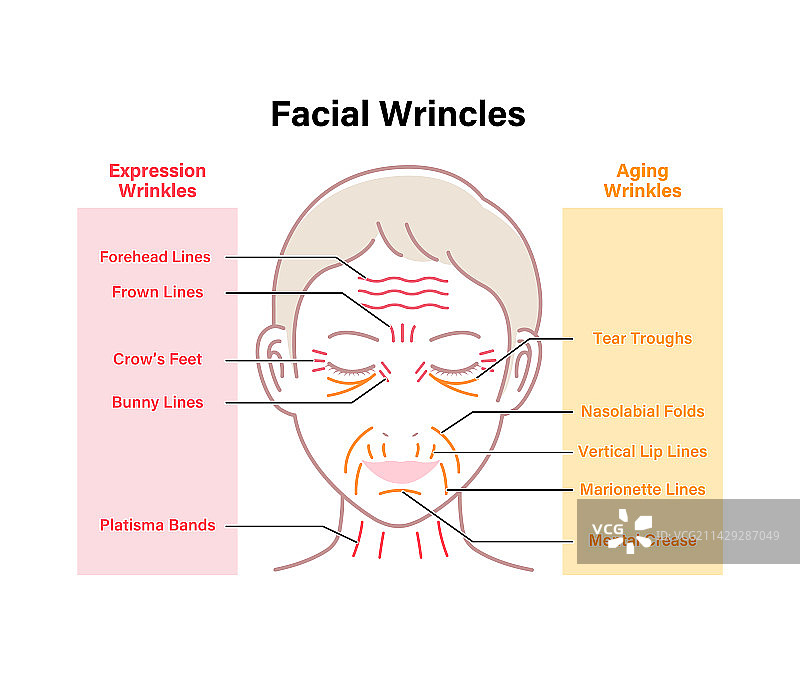 女性的皱纹和衰老图片素材