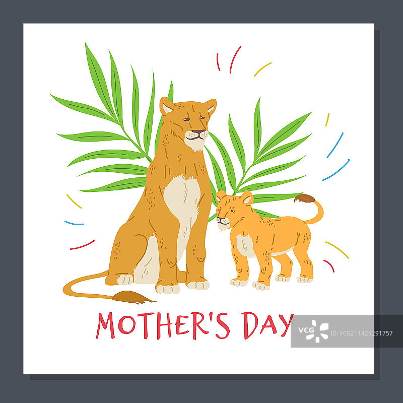 母亲节贺卡：母狮与幼狮图片素材
