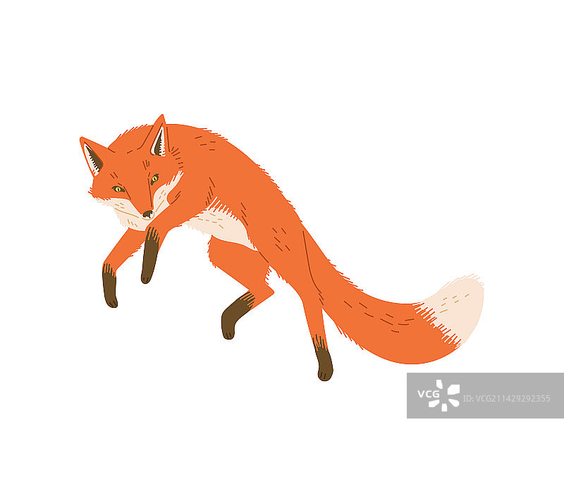 卡通扁平风毛绒狐狸跳跃图片素材