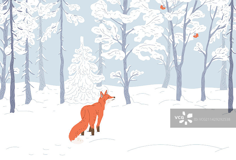 冬季森林景观与可爱的狐狸图片素材