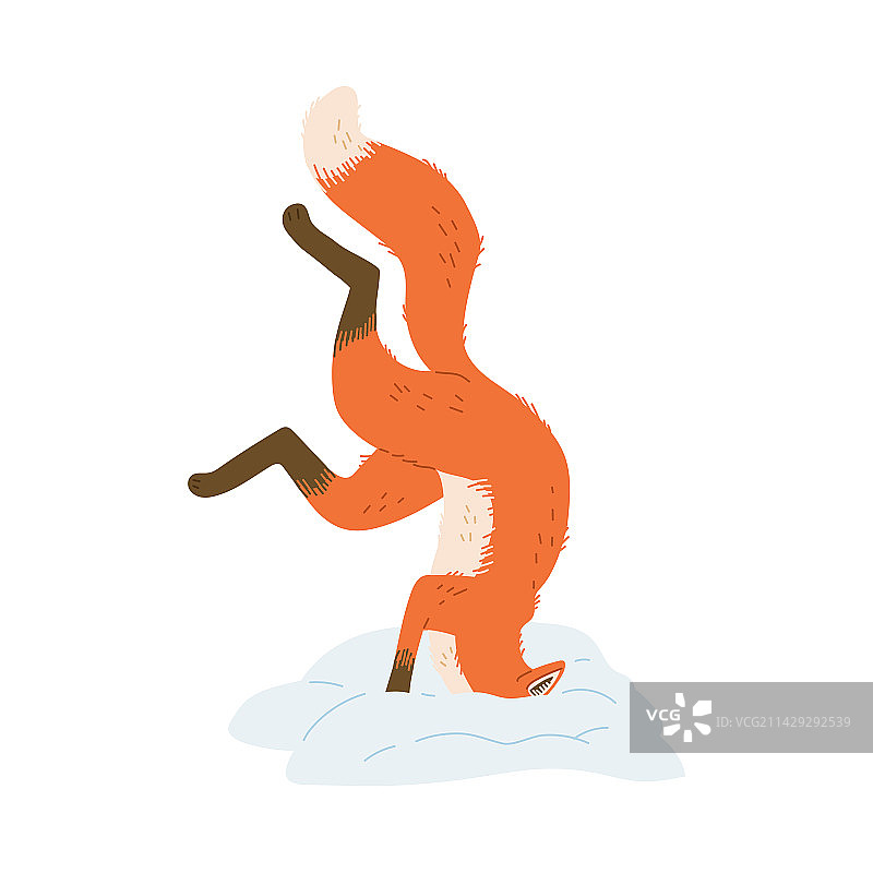 跳入雪堆的可爱小狐狸图片素材