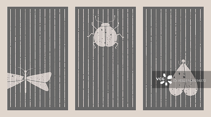 带有昆虫半色调的抽象海报合集图片素材
