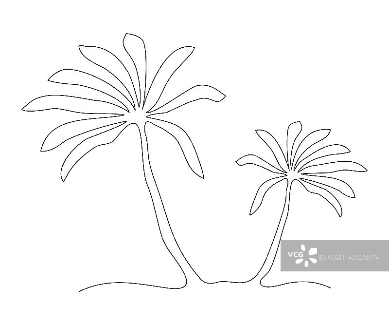 棕榈树连续单线绘画图片素材