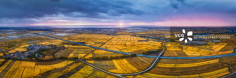 黑土地的水稻丰收图片素材