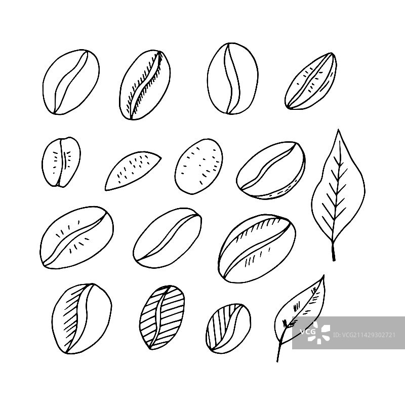 手绘涂鸦咖啡豆和树叶图片素材
