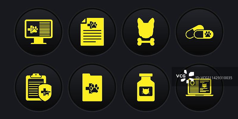 宠物犬猫临床记录套装图片素材