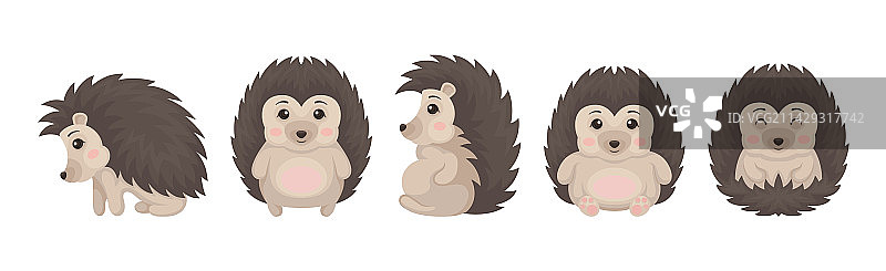 各种姿势的可爱灰色刺猬套装图片素材