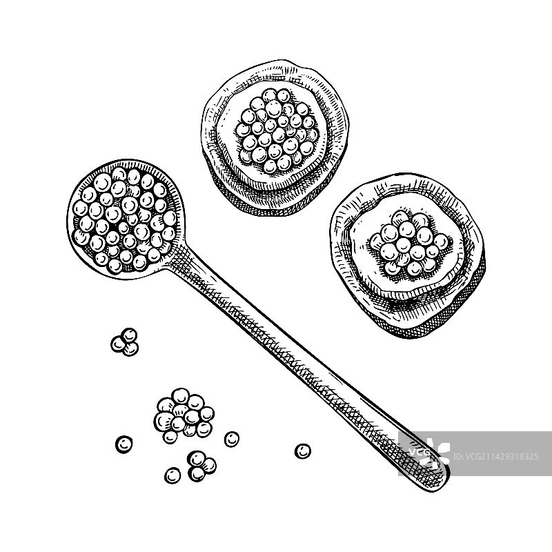 手绘红色鱼子酱草图合集图片素材