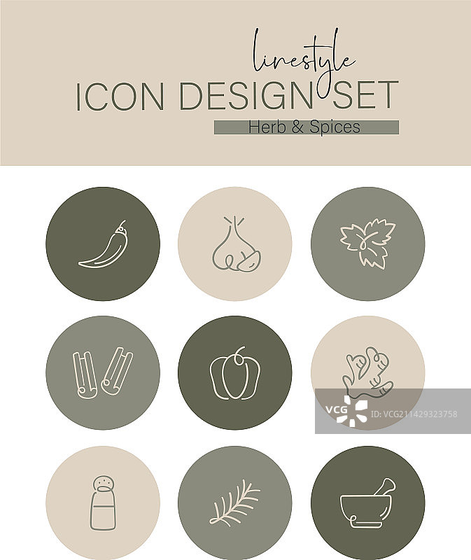 线条风格香草香料图标设计图片素材