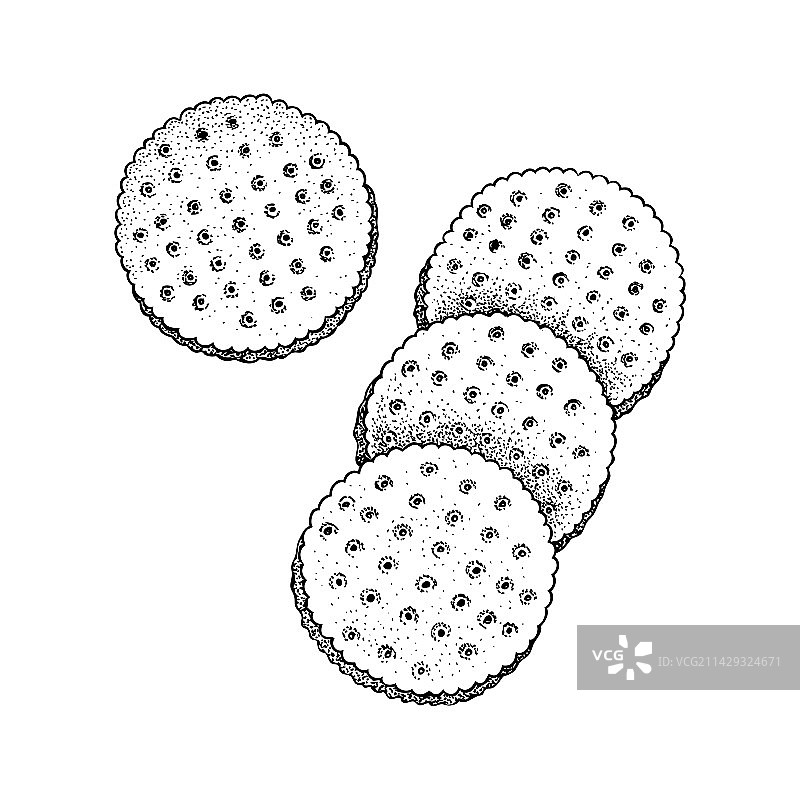 美味的酥脆饼干图片素材