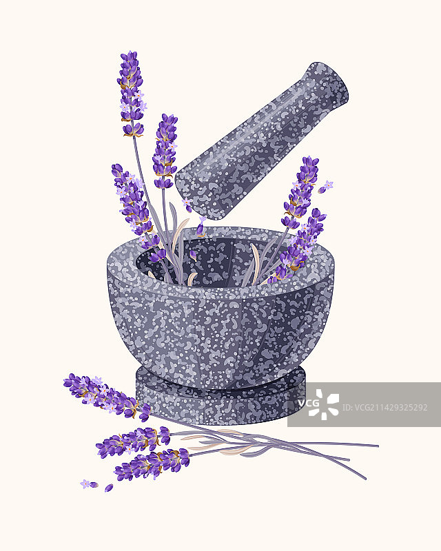 薰衣草花束与研钵图片素材