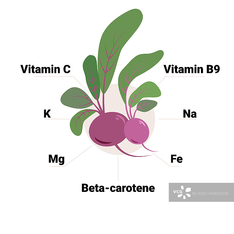 富含维生素和矿物质的甜菜根图片素材