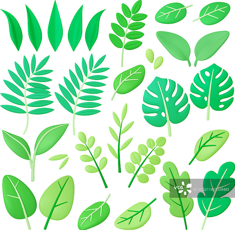 绿色3D热带树叶夏季春季图片素材